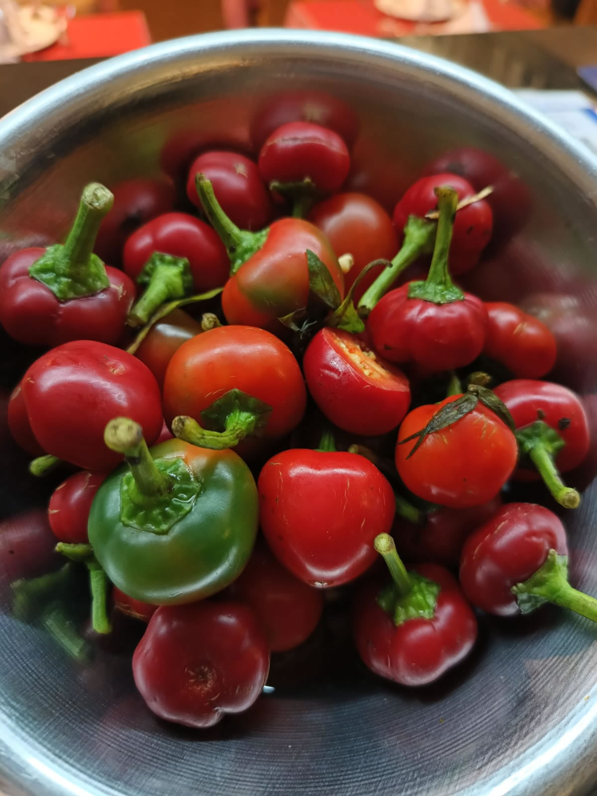 La Toscana Ristorante